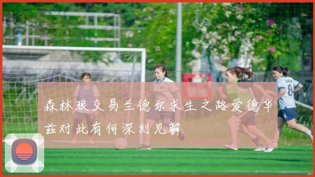 森林狼交易兰德尔求生之路爱德华兹对此有何深刻见解